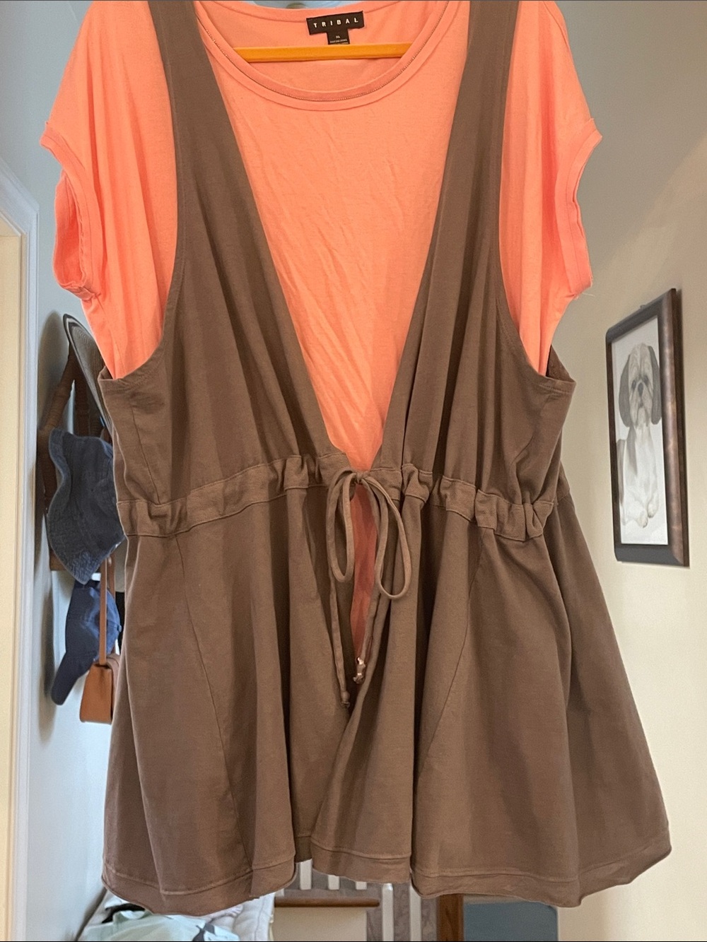 Blue Fish Brown/gray Drawstring Vest (2)